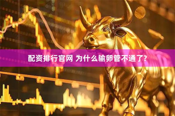 配资排行官网 为什么输卵管不通了?