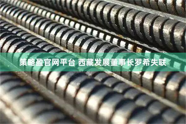 策略盈官网平台 西藏发展董事长罗希失联