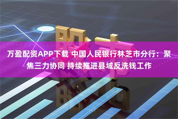 万盈配资APP下载 中国人民银行林芝市分行：聚焦三力协同 持续推进县域反洗钱工作